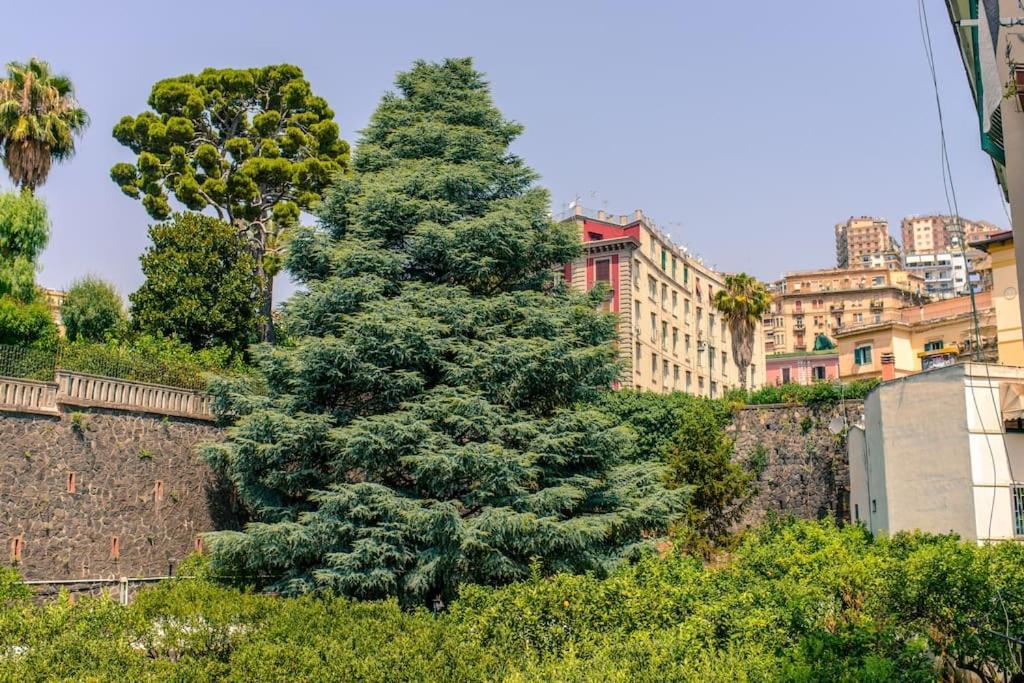 Sofia'S Home Napoli Eksteriør bilde